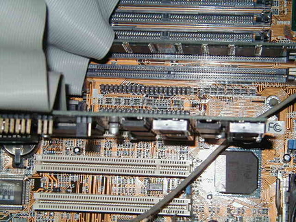 P4210009