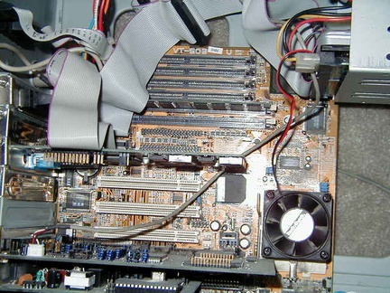 P4210010