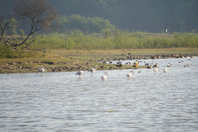 DSC08982.jpg