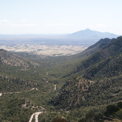 Coronado Forest Mexico Border