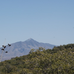 Coronado National Monument