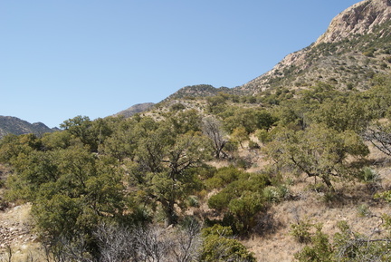 DSC01565