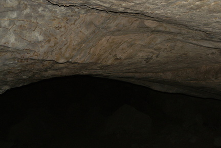 DSC01577