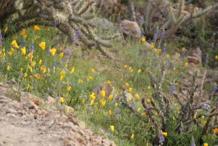 DSC02049