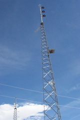 DSC02800