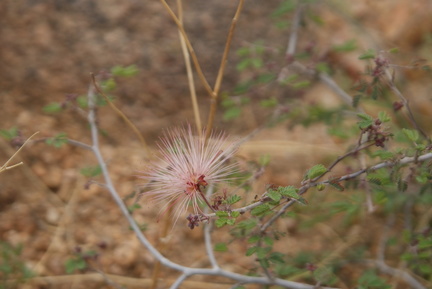 DSC02900