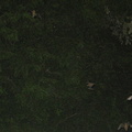 img_0817.jpg