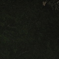img_0819.jpg