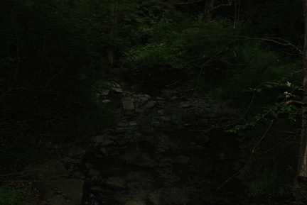 DSC00696