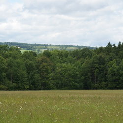 Pictures taken at the King Hill Farm