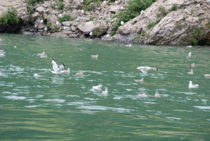 DSC00106