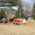 img_3637