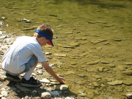 img_0803.jpg