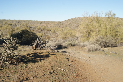 DSC05939