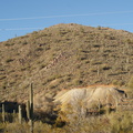 DSC05945