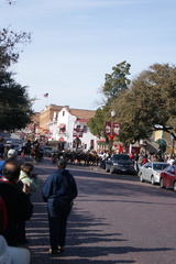 DSC05584