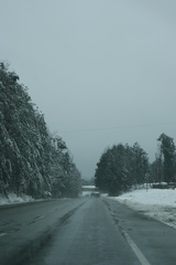 DSC05492