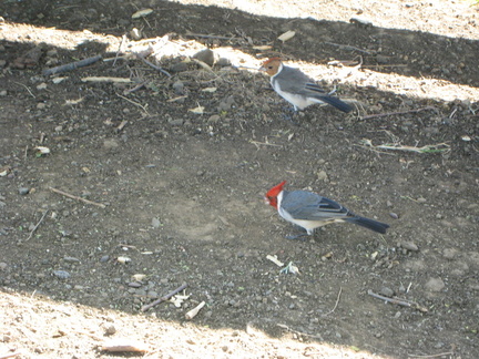 img_0170.jpg