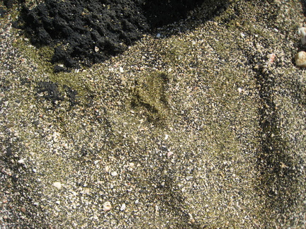 img_0558.jpg