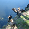 img_2975.jpg