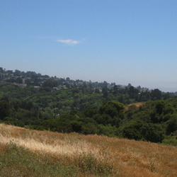 WildCat Canyon Regional Park