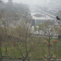 DSC00489