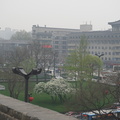 DSC00495