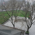 DSC00501