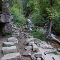 DSC08568
