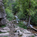 DSC08570