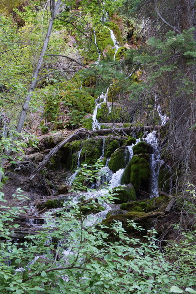 flickr-sydelko-20995450571.jpg