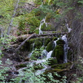 DSC08572