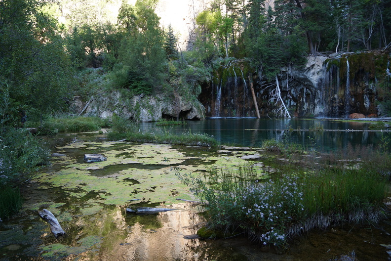flickr-sydelko-20961776566.jpg