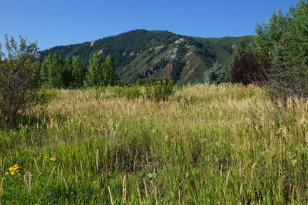 DSC08530