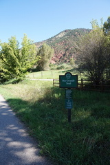 DSC08533