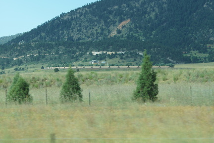 DSC08387