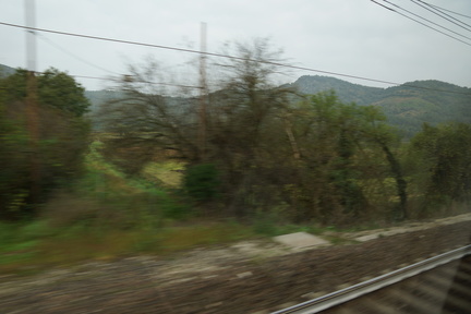 DSC06219
