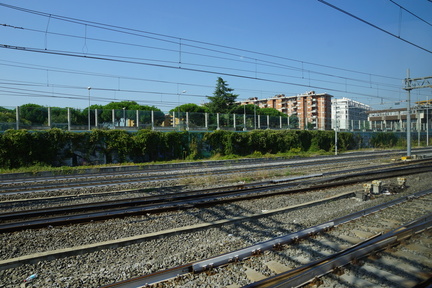 DSC06221