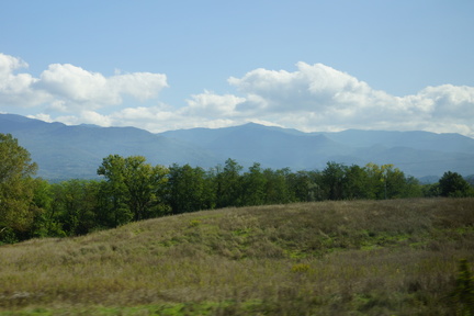 DSC06229