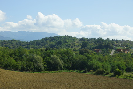 DSC06233