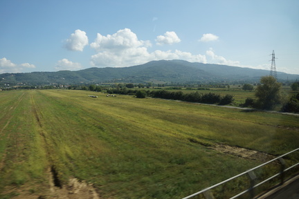 DSC06242