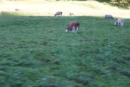DSC05577