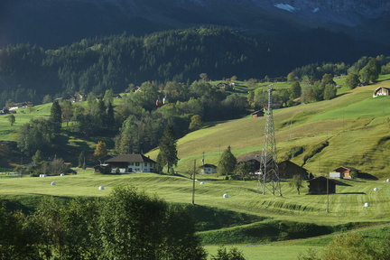 DSC05578