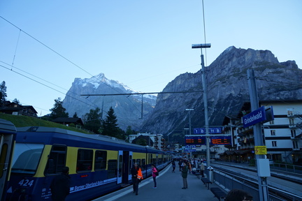 DSC05590