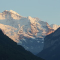 DSC05556