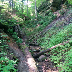 Shades State Park - May 2014