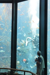 DSC04040