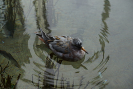 DSC04048