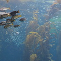 DSC04083