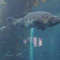 DSC04084